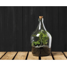 Fles met planten en kurk als decoratie