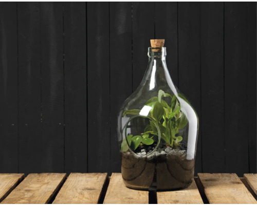 Fles met planten en kurk als decoratie