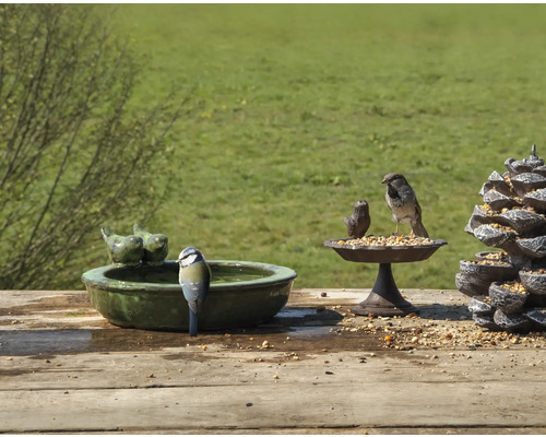 Scene met vogelbad, voederplaats en decoratieve kegel voor de tuin