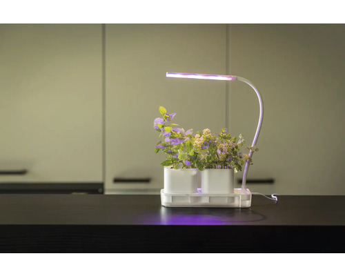 Plantenkweeksysteem met ledverlichting en twee plantenbakken op een tafel
