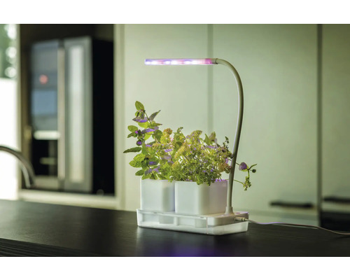 Binnentuin met kruiden en ledverlichting op een aanrecht