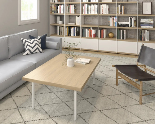 Woonkamer met bank, salontafel, fauteuil, boekenkast en vloerkleed