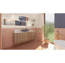 Badkamer met wastafel, spiegel en decoraties in een badkamerontwerp