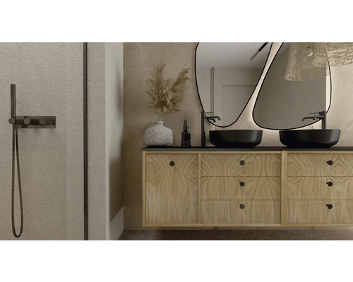 Badkamer met wastafel, twee waskommen en spiegels