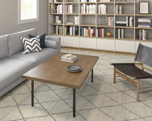 Woonkamer met bank, vloerkleed, salontafel, stoel en boekenkast