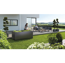 BIOHORT Plantenbak klassiek formaat 2x1 donkergrijs metallic 201x102x77 cm