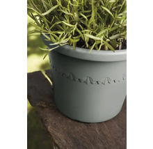 Bloempot met plant op houten oppervlak