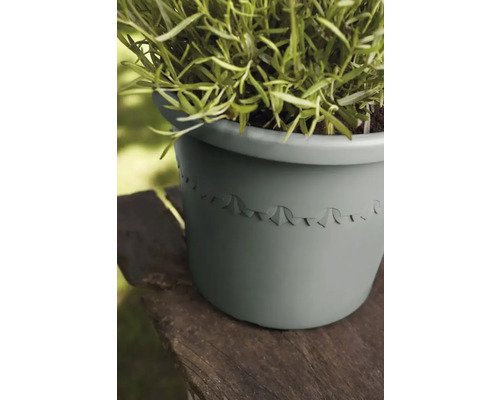 Bloempot met plant op houten oppervlak