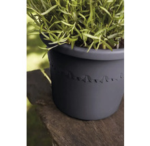 Plant in een ronde plantenbak met decoratief patroon