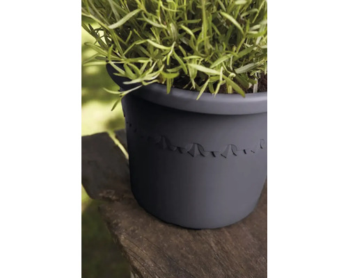 Plant in een ronde plantenbak met decoratief patroon