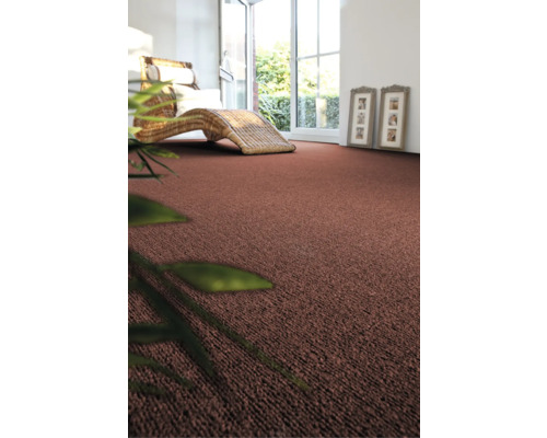 Kamer met tapijt, raam en ligstoel