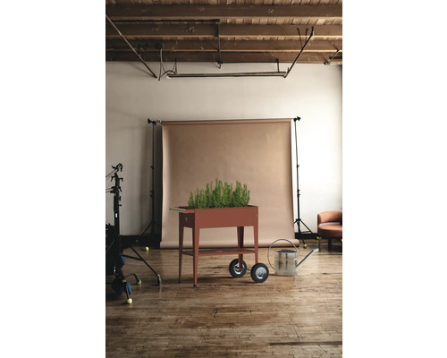 Plantenbak op wielen met kruiden en gieter in de studio