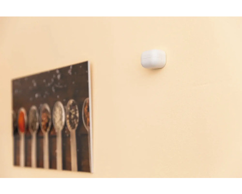 Muur met rookmelder en afbeelding