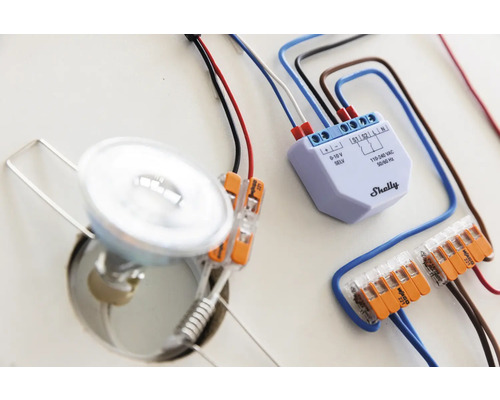 Installatie van een lamp met Shelly Smart Home relais en Wago klemmen