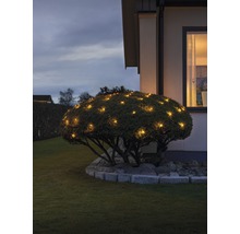 Tuin met verlichte struik en huis op de achtergrond