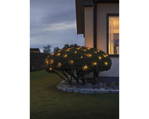 Tuin met verlichte struik en huis op de achtergrond