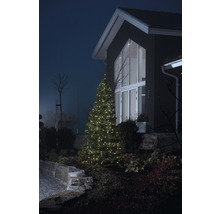 Verlichte kerstboom voor een woonhuis in de tuin.
