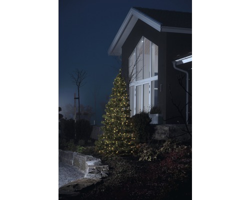 Verlichte kerstboom in de tuin voor het huis