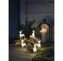 Decoratieve scène met verlichte rendierfiguren, houtblokken en een lantaarn