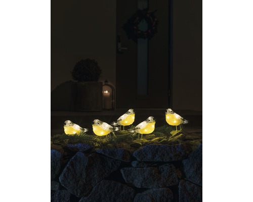 Decoratieve verlichte vogelgroep voor buiten