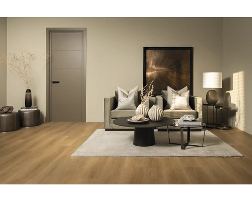 Woonkamer met bank, salontafel, vloerkleed en binnendeur