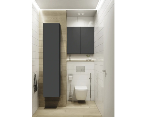 Moderne badkamer met toilet, wastafel en grijze badkamermeubels