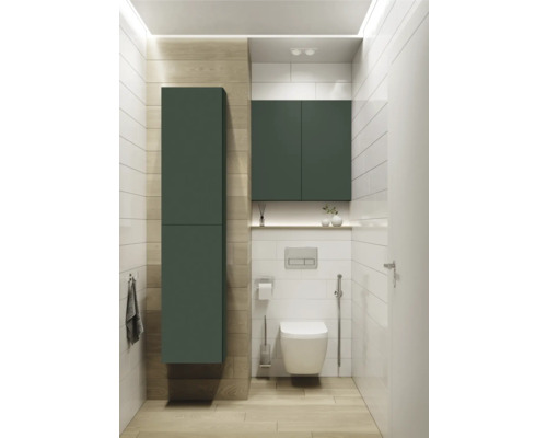 Moderne badkamer met hangtoilet, inbouwreservoir, badkamerkast en plank