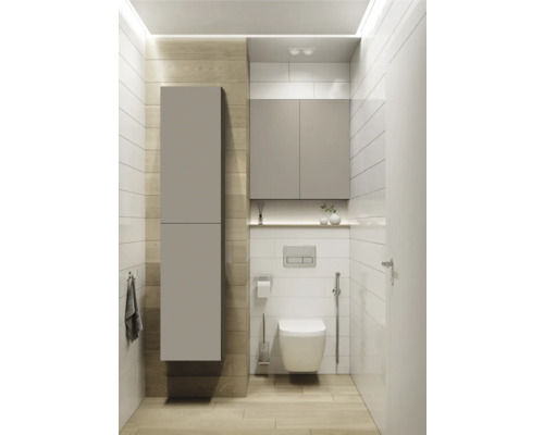 Moderne badkamer met toilet, hangkast en wastafelonderkast