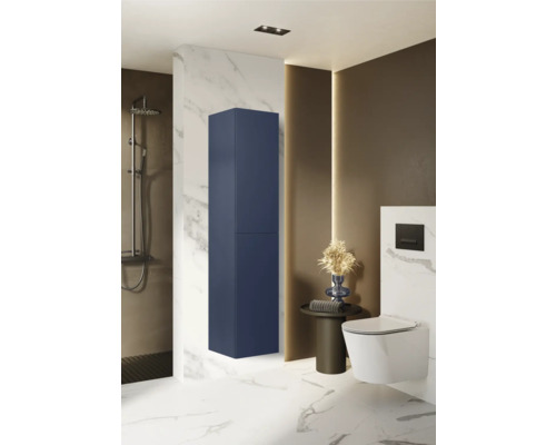 Moderne badkamer met blauwe kolomkast, toilet en douche