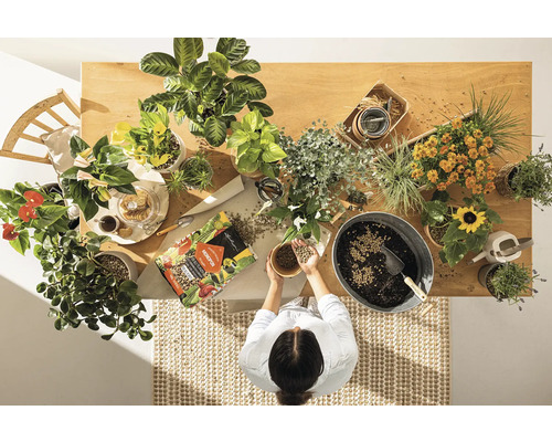 Bovenaanzicht van een houten tafel met kamerplanten, potgrond en een vrouw die potgrond in haar handen houdt