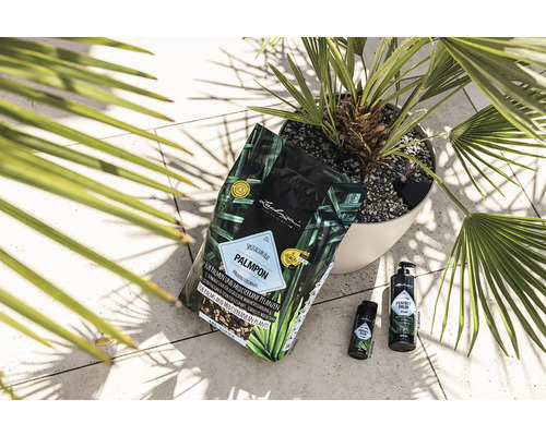 Speciaal substraat, meststof en verzorgingsproducten voor palmen en mediterrane planten met palm in pot