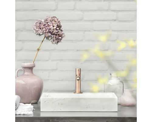 Badkamerwastafel met kraan, bloemenvaas en decoratieve elementen voor een witte bakstenen muur