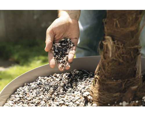 Een hand giet plantgranulaat in een plantenbak bij een plant.