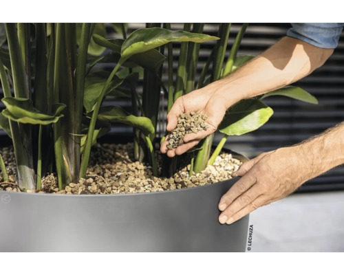 Persoon vult hydrokorrels in een plantenbak met plant