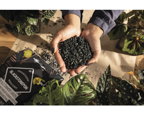 Handen houden Lechuza Blackstonepon plantgranulaat vast naast kamerplanten en een geopende verpakking