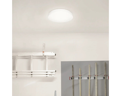 Kamerfoto met plafondlamp, ladder en apparatuur