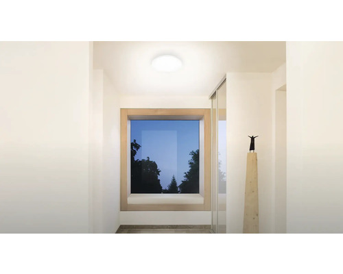 Gang met plafondlamp, raam en sculptuur