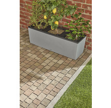 Grijze plantenbak met citroenboom, andere planten en irrigatiesysteem op een verharde ondergrond voor een bakstenen muur.