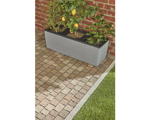 Grijze plantenbak met citroenboom, andere planten en irrigatiesysteem op een verharde ondergrond voor een bakstenen muur.