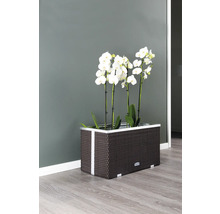Plantenbak 70x38x40 cm rattan bruin