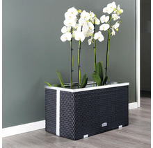 Plantenbak 70x38x40 cm rattan antraciet
