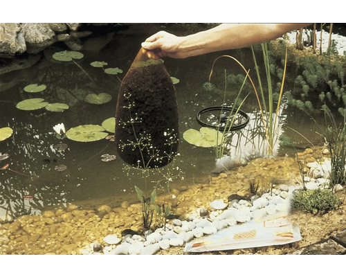 Vijvertafereel met waterplanten en hand die een paaistructuur vasthoudt