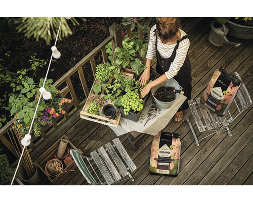 Vrouw plant planten met potgrond op een houten terras