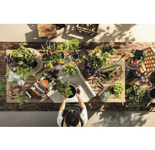 Bovenaanzicht van een tuintafel met kruiden, groenten en iemand die een plant verpot. Tuinscène met aarde, plantenbakken en tuingereedschap.