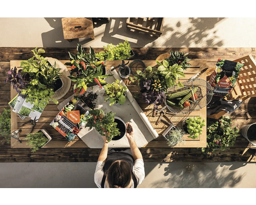 Bovenaanzicht van een tuintafel met kruiden, groenten en iemand die een plant verpot. Tuinscène met aarde, plantenbakken en tuingereedschap.