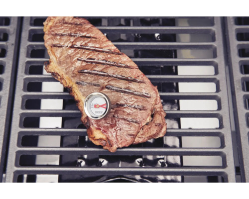 Gegrilde steak met vleesthermometer op een grillrooster