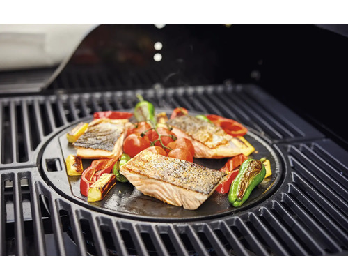 Zalm en groenten bereid op een barbecue