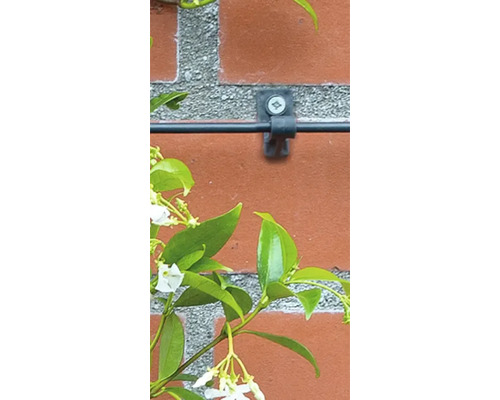 Plantensteun bevestigd aan een bakstenen muur