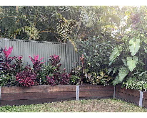 Aangelegde tuin met houten omlijsting en diverse planten