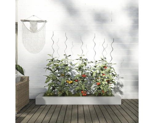 Verhoogde tuinbak met tomatenplanten en klimrekken voor een witte muur